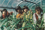 PHOTO: THE  SEEDS