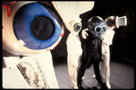 PHOTO: THE RESIDENTS